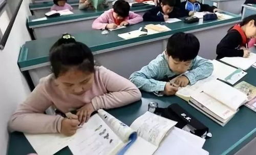 中小學課后服務全面鋪開，教育咨詢助力家長滿意度提升
