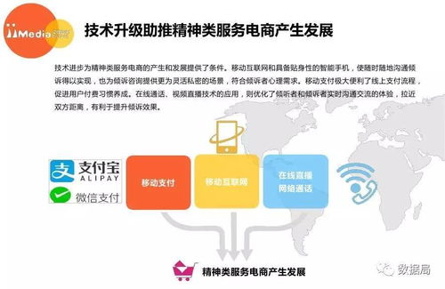 2017上半年中國精神類服務(wù)電商市場研究報告 教育咨詢服務(wù)的新機(jī)遇與挑戰(zhàn)